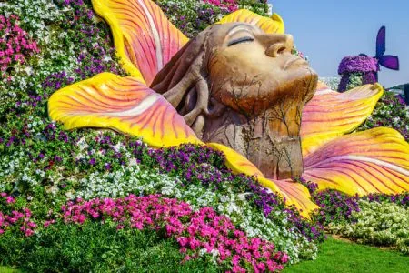 Miracle Garden Dubai