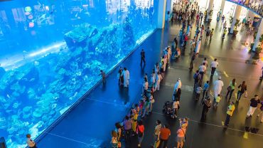 Hop on Hop off Bus Dubai – Explore the City at Your Own Pace