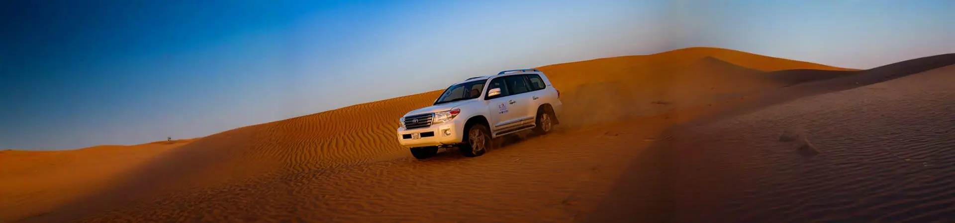 Dubai Desert Safari